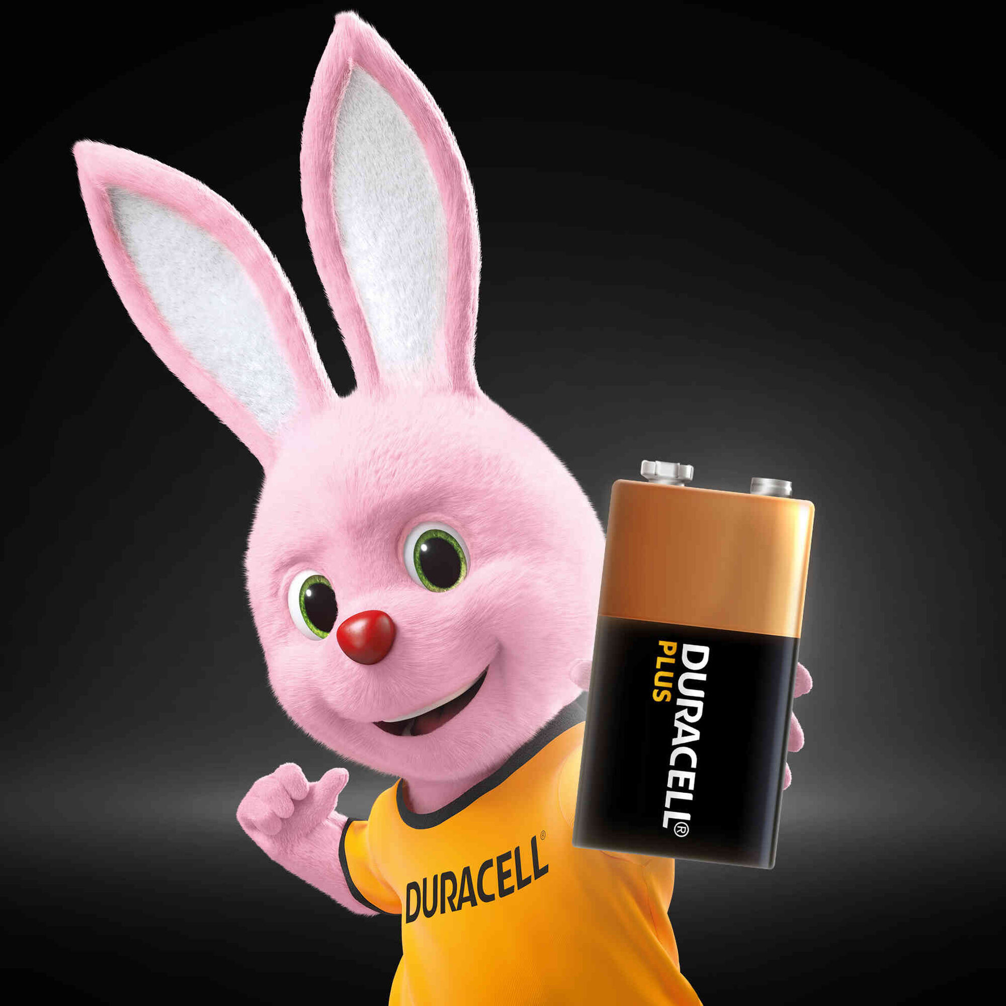Pilha Alkalina 9V Plus - Duracell