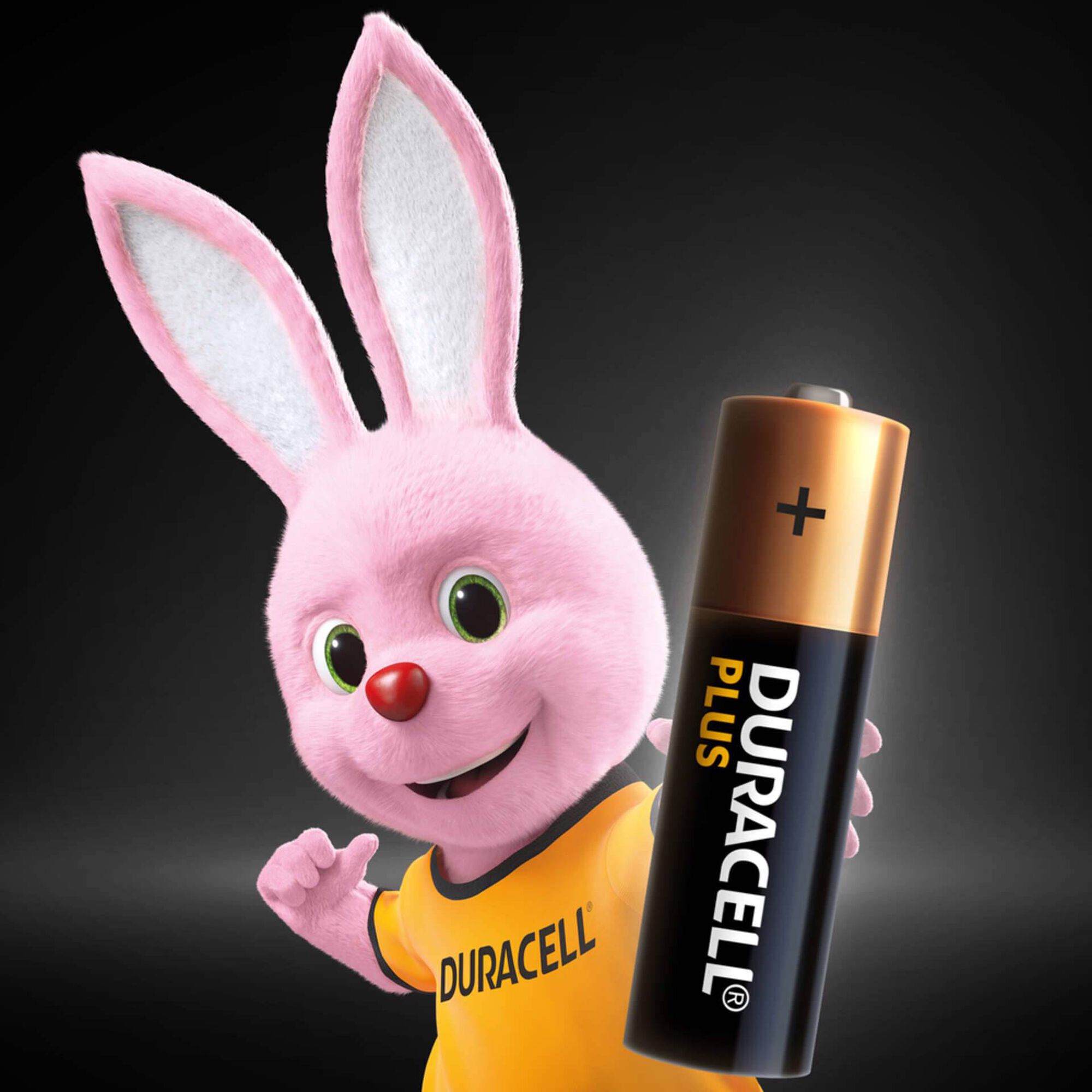 Pilha Alkalina AAA Plus - Duracell